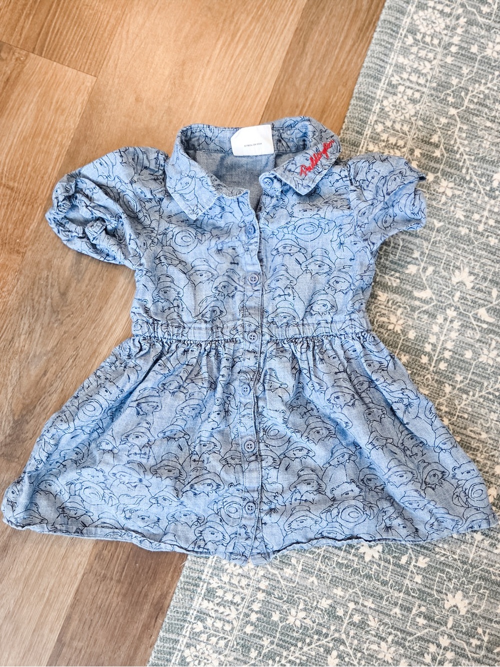 Blue Paddington Print Button-Up Toddler Dress